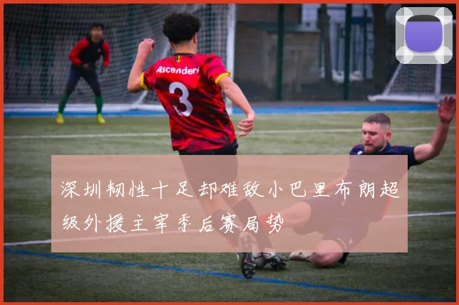深圳韧性十足却难敌小巴里布朗超级外援主宰季后赛局势